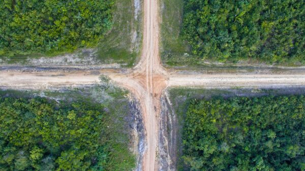 la rascruce de drumuri puterea unei imagini cu midjourney