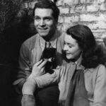 relatia dintre laurence olivier si vivien leigh in istoria cinematografiei