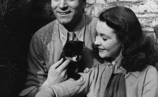 relatia dintre laurence olivier si vivien leigh in istoria cinematografiei