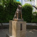 hachiko cainele care a transformat asteptarea in legenda
