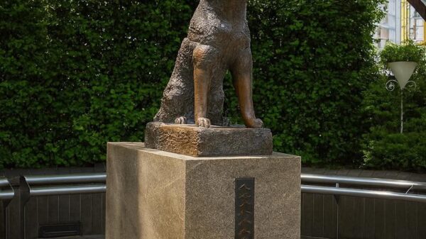 hachiko cainele care a transformat asteptarea in legenda