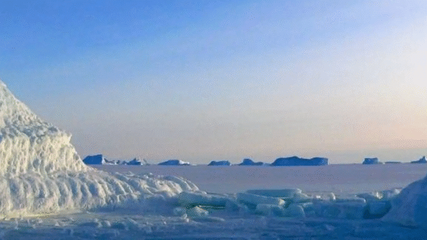 antarctica noul vis al calatorilor de lux expeditie la capatul lumii