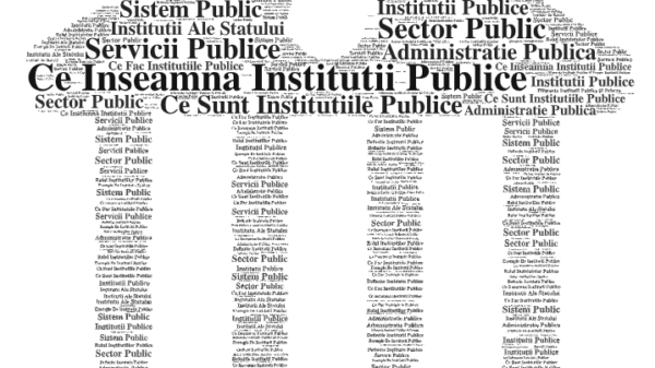 ce sunt institutiile publice si cum functioneaza in practica