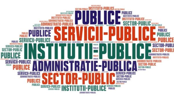 cum se foloseste termenul publice si ce transmite in diferite situatii