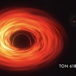 ton 618