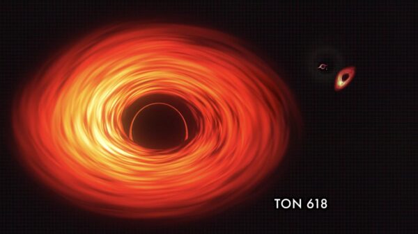 ton 618