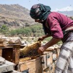 yemen miere